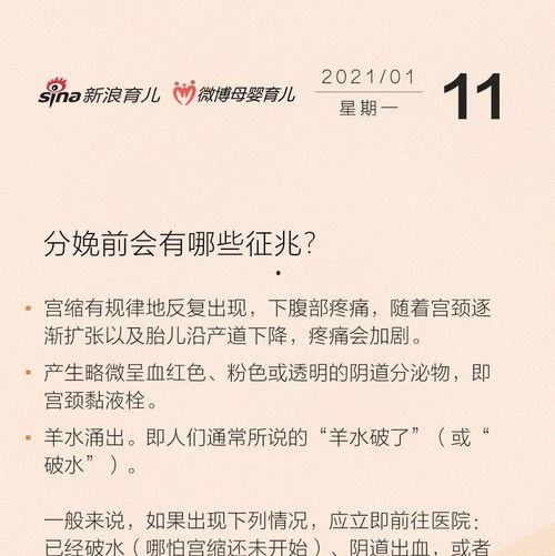 金莎最新爆料新闻事件视频,揭秘娱乐圈惊人内幕! 第3张 金莎最新爆料新闻事件视频,揭秘娱乐圈惊人内幕! 第3张